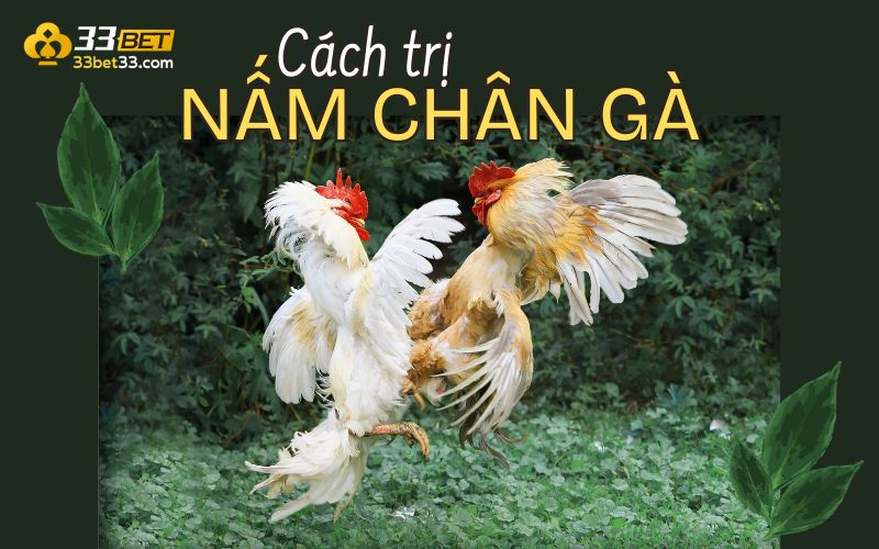 cách trị nấm chân gà