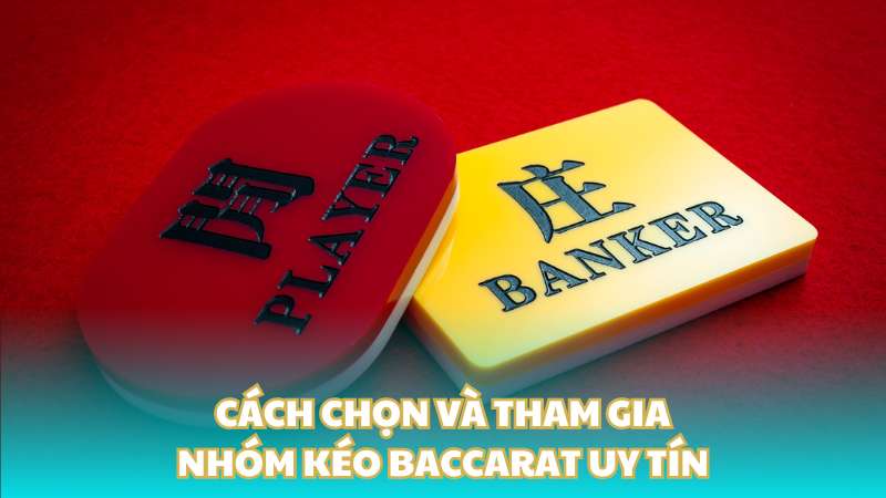 Cách chọn và tham gia nhóm kéo Baccarat uy tín