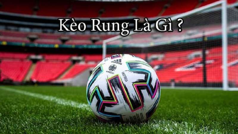 Kèo rung là gì? Tìm hiểu về các loại kèo rung hiện nay